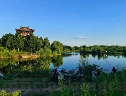 91大胆麻豆-91大胆麻豆，重塑创意与表达的数字新潮