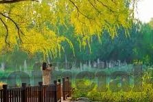 91madou麻豆-以91madou麻豆为镜，数字化时代下网红文化的崛起与反思