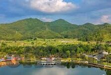 大象融媒和中原传媒-大象融媒与中原传媒，共绘文化传媒新蓝图