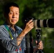 老鸭窝成人精品视频-探索老鸭窝，成人精品视频的多元视角与文化现象