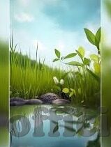 麻豆专属视频-解开麻豆专属视频的神秘面纱，一探究竟