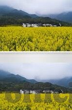 糖心vlog网站地址在线-探索网络新视界，揭秘糖心vlog站的独特魅力