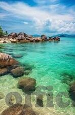 天堂AV无码日韩AV人妻-探索成人内容，天堂AV与日韩AV的多元视角