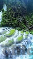 婷婷五天图片在线中文字幕观看-婷婷五天，视觉盛宴的独特旅程